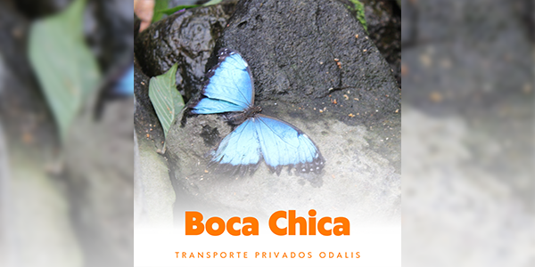 Boca Chica