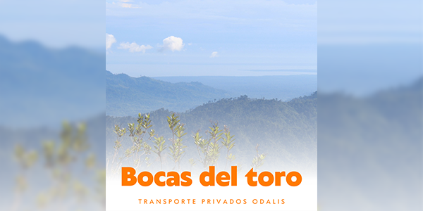 Bocas del Toro