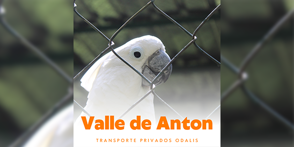 Valle de Anton