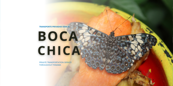 Boca Chica