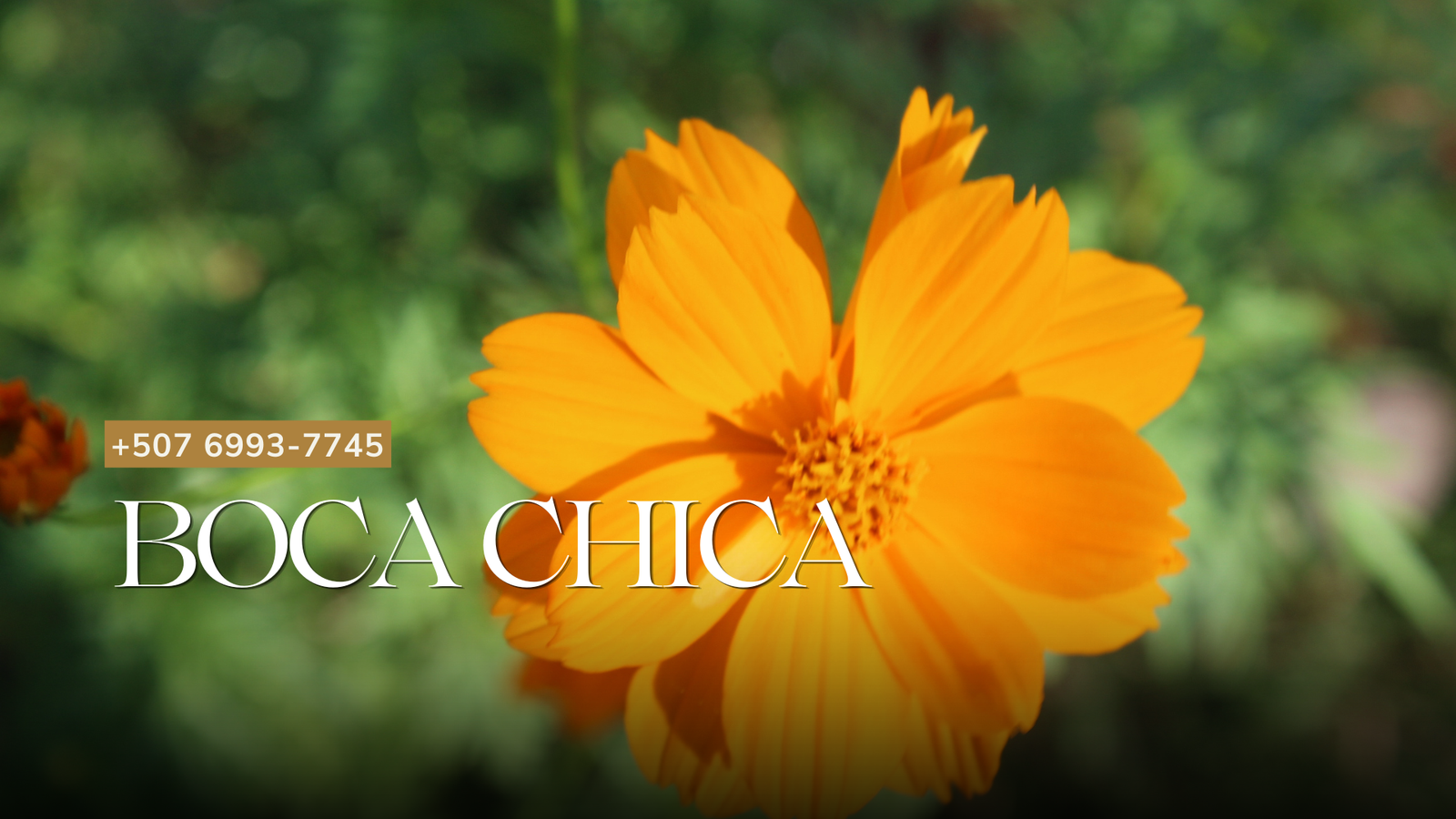 Boca Chica